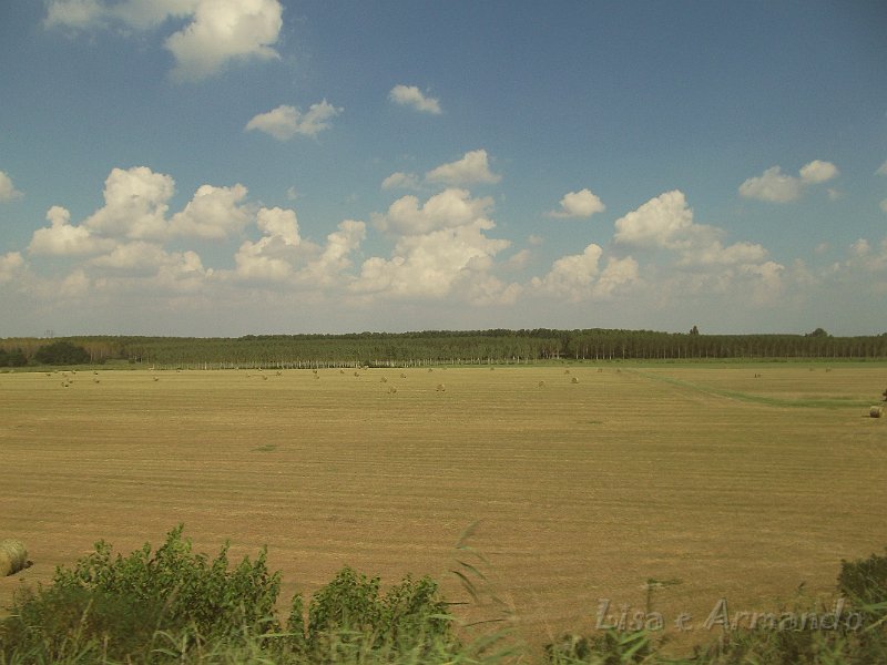 verso felonica 676.JPG